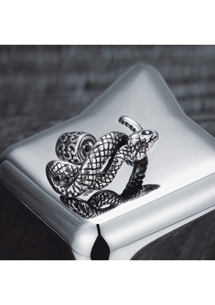 Yılan Tasarımlı Büyük Boy Gotik Çivi Model Butik King Size 316L Çelik Erkek Küpe fırsatları