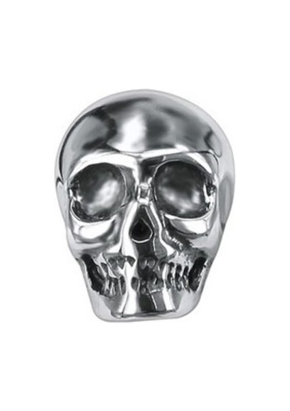 Büyük Kurukafa Gotik Çivi Model Skull 316L Çelik Erkek Küpe fiyatları