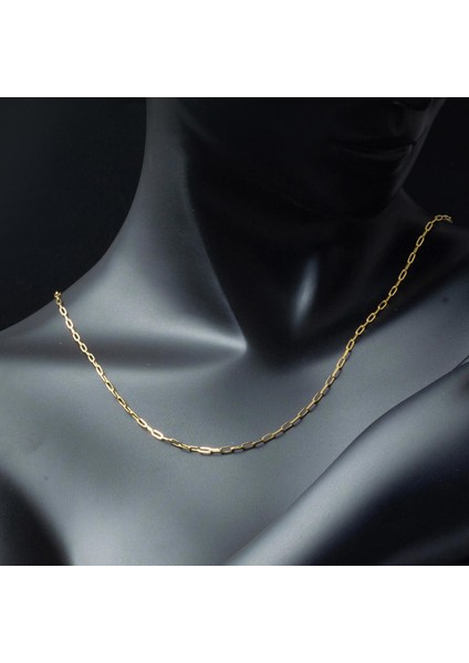 Altın Spor Zincir Kolye 14 Ayar 50CM. fiyatları