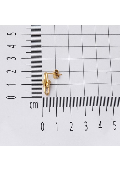 Tiffany 14 Ayar Sarı Altın Küpe indirimleri