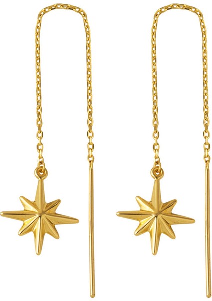 14 Ayar Kuzey Yıldızı Sallantı Altın Küpe