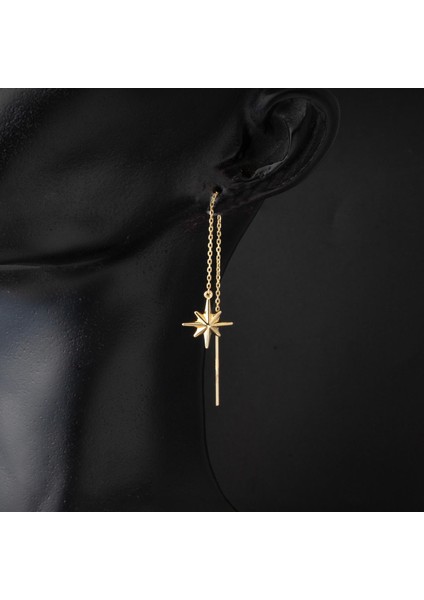 14 Ayar Kuzey Yıldızı Sallantı Altın Küpe fiyatları