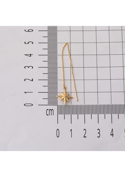 14 Ayar Kuzey Yıldızı Sallantı Altın Küpe indirimleri