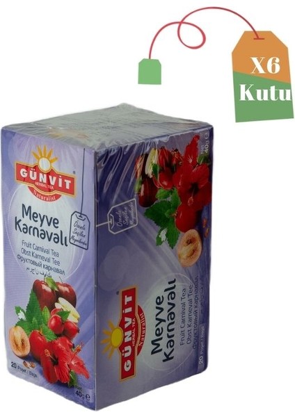 Meyve Karnavalı Çayı Bardak Süzen Poşet 20'li Kutu x 6