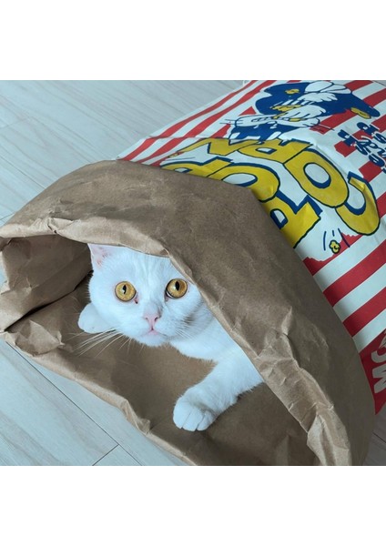 Patlamış Mısır Şekli Kedi Tüneli Tüp Oyun Çadırı Kedi Oyuncak Kapalı Köpek Egzersiz Gizleme Eğitimi Pet Interaktif Rahatlatıcı Malzemeleri (Yurt Dışından) modelleri
