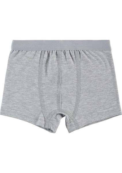 Erkek Çocuk 2'li Boxer Set 2-10 Yaş Gri-Beyaz fiyatları