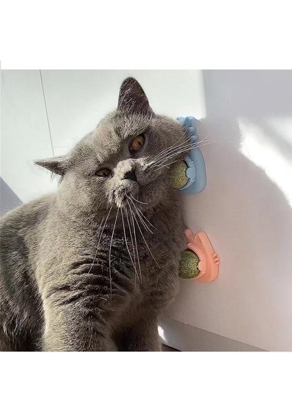 Kedi Kafası Şeklindeki Evcil Hayvan Kedi Nanesi Topu Kedi Oyuncağı Kendinden Komik Molar Alay Kedi Lolipop Yalama Eğlenceli Kedi Sopa Isırmaya Dayanıklı Kedi Oyuncağı (Yurt Dışından)