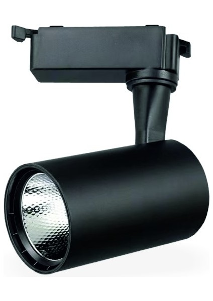 Ray Spot Deren 30W 3200K Günışığı Hs 2434 fırsatları