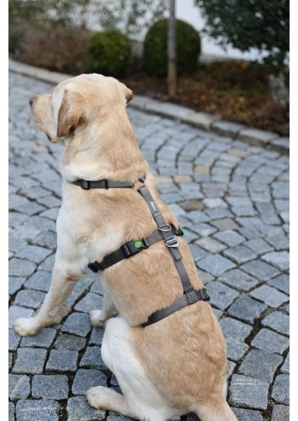 Köpek Sırt Tasması Kaçış Önleyici 64CM - 100CM modelleri