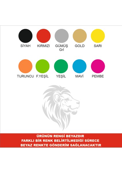 Aslan Sticker