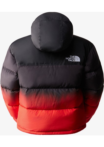 96 Nuptse Dip Dye.- fiyatları