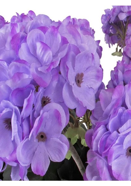 Videolu Mor Pembe 2 Adet Karışık Renk Özel Set Sardunya Fidesi 15-30CM Saksılı (Geranium) indirimleri