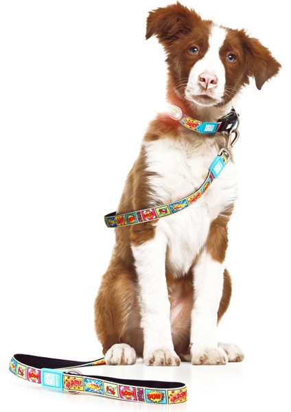 Comic Köpek Gezdirme Kayışı modelleri