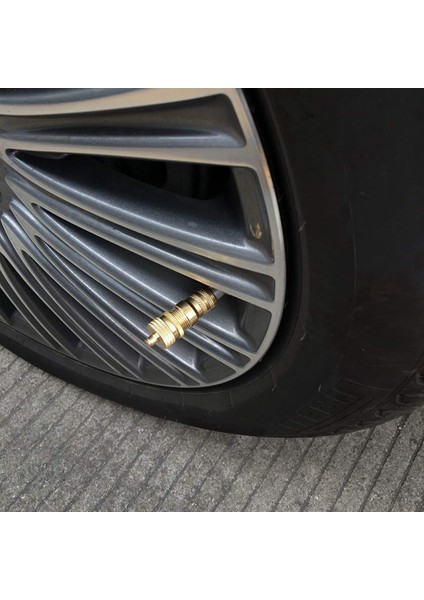 8 Adet Offroad Pirinç Lastik Havalandırma Makinesi S Kiti Otomatik 6-30PSI Lastik Lastik Basıncı Tahliye Vanası Deflatörler Hava Alma Vanası (Yurt Dışından)
