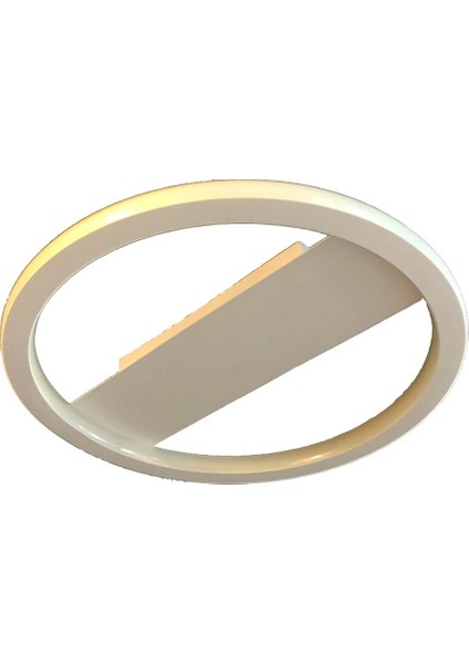 Plafonia Transparent 60CM Daire Tavan Tipi LED Avize