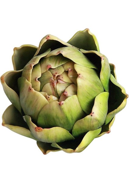 12 Adet Yeşil Yapay Enginar Plastik Sahte Çiçek Sahte Enginar Ev Düğün Parti Masa Dekorasyon Için (Yurt Dışından) modelleri