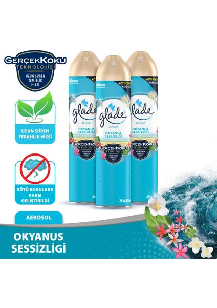 Aerosol Oda Kokusu Okyanus Sessizliği 3'lü Set