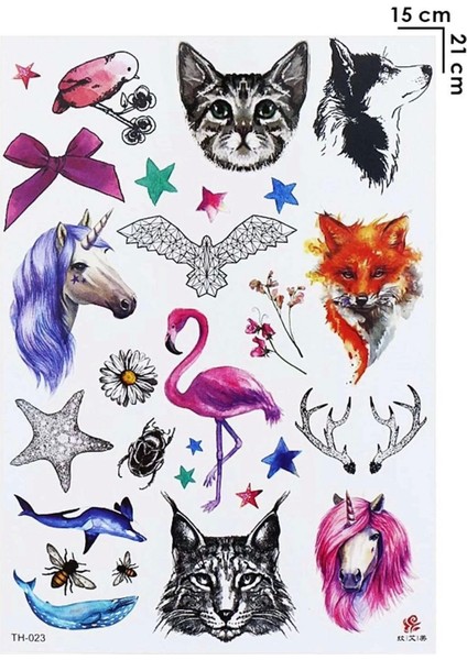 Geçici Karışık Dövme Tattoo