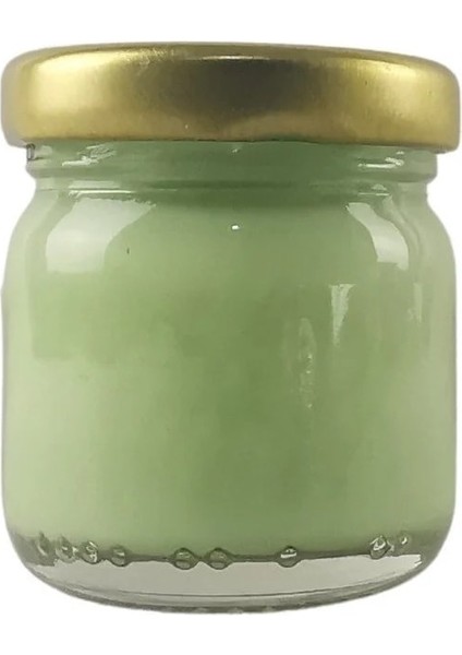 Seramik ve Çini Boya 40GR 8824 Iznik Turkuaz Yeşili