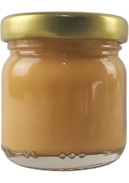 Seramik ve Çini Boya 40GR 8848 Hardal Sarı modelleri