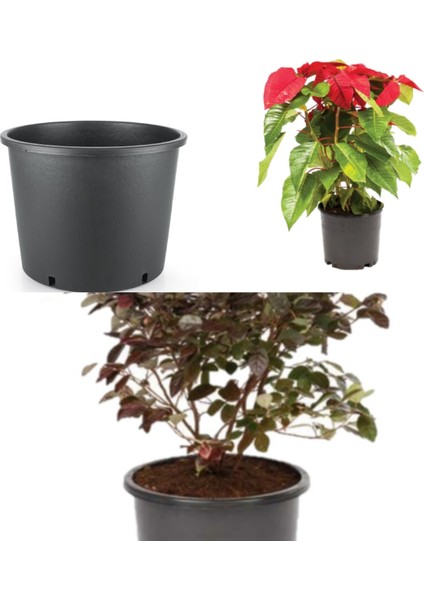 10 Adet 5 Lt Plastik Daksı