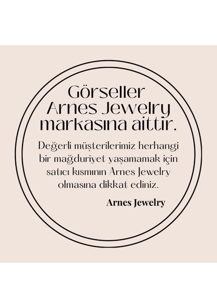 Arnes Jewelry Çelik Kalın Burgu Kolye