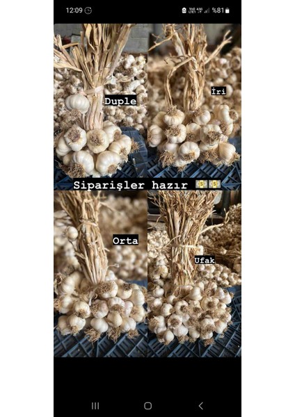 Sarımsak Taşköprü 2kg Duble