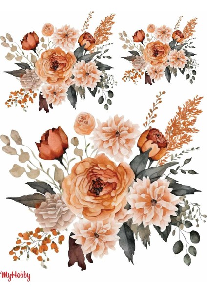 Sulu Transfer LNT-240 25X35 cm