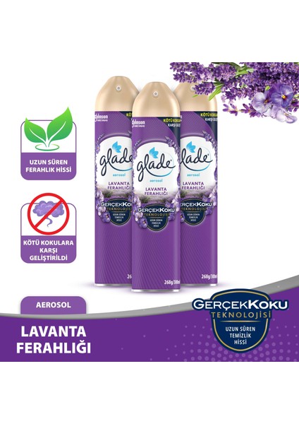 Aerosol Oda Kokusu Lavanta 3 'lü Set