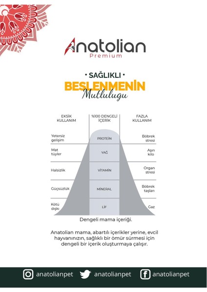 Adult Chicken Yetişkin Tavuklu Kedi Maması 2 kg