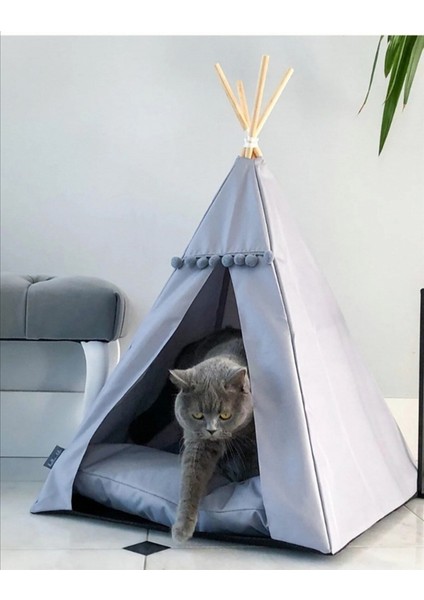 Kedi ve Köpek Yatağı