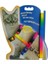 Multicolor Kedi Tasması 1