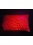 Sazan Boncuk Dip Yemi 10 mm 500 gr Florasan Pembe 2