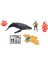 Wild Quest Hydro Surf Whale Search Oyun Seti 1