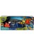 Wild Quest Hydro Surf Whale Search Oyun Seti 2