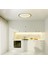 Tavan Plafonyer LED Avize 60 cm 4