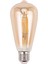 Kısılabilir E27 4W Retro Vintage Filament ST64 Cob LED Ampul Işık Lambası Gövde Rengi:altın Kapak Açık Renk:altın Sarı (2200K) GERILIM:220V (Yurt Dışından) 2