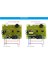 W1411 12 V 10A LED Dijital Sıcaklık Kontrol Cihazı Termostat Kontrol Değiştirme Sensörü Seralar Için Hayvancılık (Yurt Dışından) 5