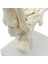 2x 1:1 Insan Iskeleti Ayak Anatomisi Modeli Ayak ve Ayak Bileği Saplı Anatomik Model Anatomi Öğretim Kaynakları (Yurt Dışından) 2
