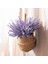 Yapay Lavanta Çiçekleri 16 Adet Sahte Bitkiler ile Sahte Plastik Düğün Buket Masa Centerpieces Ev Dekor Için (Yurt Dışından) 5