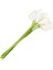 Calla Lily Gelin Düğün Buketi 20 Başlı Lateks Real Touch KC51 Beyaz (Yurt Dışından) 5