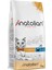 Adult Chicken Yetişkin Tavuklu Kedi Maması 2 kg 1