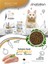 Adult Chicken Yetişkin Tavuklu Kedi Maması 2 kg 4
