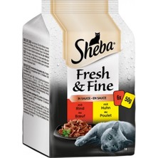 Sheba Sığır Etli Tavuklu Yetişkin Kedi Konservesi 50GR x 6 Adet