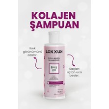 Loxxun Kolajen Şampuan Ve Argan Yağı Serum Seti