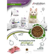 Anatolian Premium Sterilised Lamb Kuzulu Kısırlaştırılmış Kedi Maması 2 kg