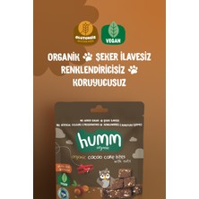 Humm Organic - Organik Glutensiz Vegan Kakaolu ve Fındıklı Kek Atıştırmalık Paketi - 6 Adet