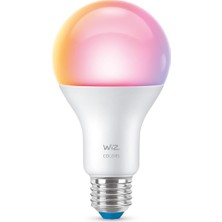 100W Renkli Ambiyans E27 Akıllı Ampul (A67) Matter, Google Home, Alexa Uyumlu