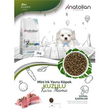 Anatolian Premium Mini Puppy Lamb Kuzulu Küçük Irk Yavru Köpek Maması 2 kg