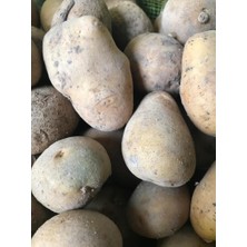 Karahasanoğlu Tarım Yerli Tohumluk Patates 1 kg